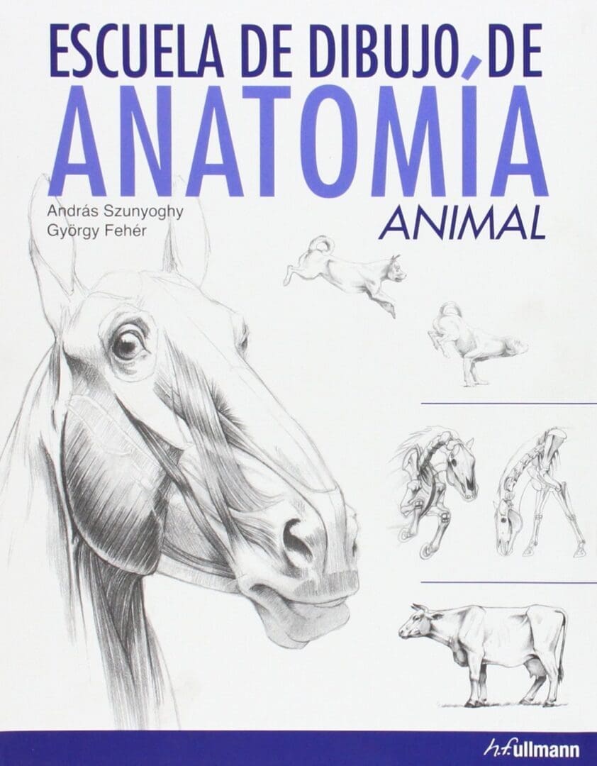 Escuela de Dibujo de Anatomía Animal | András Szunyoghy